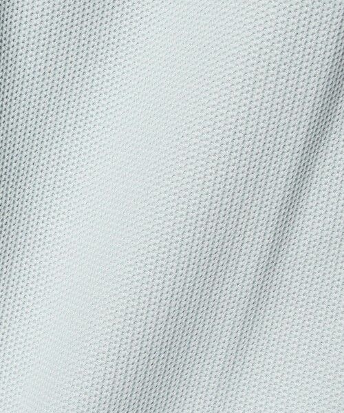 BEAUTY&YOUTH UNITED ARROWS / ビューティー&ユース ユナイテッドアローズ ショート・ハーフ・半端丈パンツ | ＜LACOSTE for BEAUTY&YOUTH＞ワントーン ショートパンツ | 詳細6