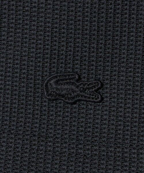 BEAUTY&YOUTH UNITED ARROWS / ビューティー&ユース ユナイテッドアローズ ショート・ハーフ・半端丈パンツ | ＜LACOSTE for BEAUTY&YOUTH＞ワントーン ショートパンツ | 詳細13