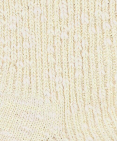 BEAUTY&YOUTH UNITED ARROWS / ビューティー&ユース ユナイテッドアローズ ソックス | ビッグ スラブ  クウォータ— ソックス | 詳細1