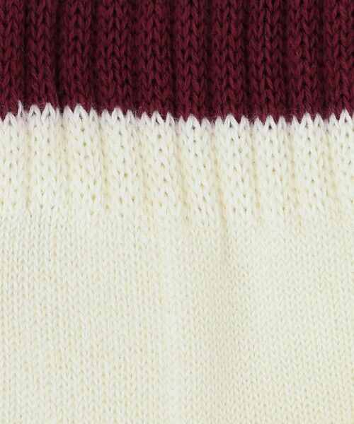 BEAUTY&YOUTH UNITED ARROWS / ビューティー&ユース ユナイテッドアローズ ソックス | ツーライン ソフト パイル クウォーター ソックス | 詳細3