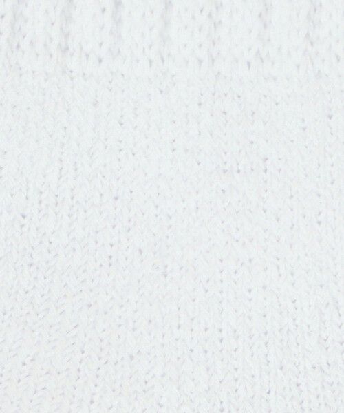 BEAUTY&YOUTH UNITED ARROWS / ビューティー&ユース ユナイテッドアローズ ソックス | ダブル リブ パイル クウォーター ソックス | 詳細1