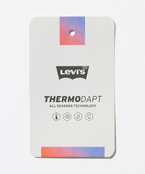 BEAUTY&YOUTH UNITED ARROWS / ビューティー&ユース ユナイテッドアローズ シャツ・ブラウス | ＜Levi's＞スタンダードウエスタン シャツ | 詳細18