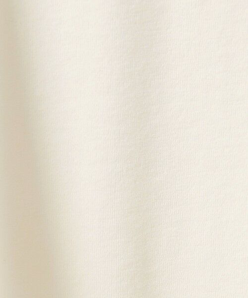 BEAUTY&YOUTH UNITED ARROWS / ビューティー&ユース ユナイテッドアローズ カットソー | シアー パイル リンガーTシャツ | 詳細5