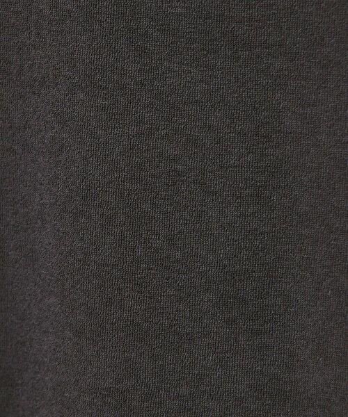 BEAUTY&YOUTH UNITED ARROWS / ビューティー&ユース ユナイテッドアローズ カットソー | シアー パイル リンガーTシャツ | 詳細11