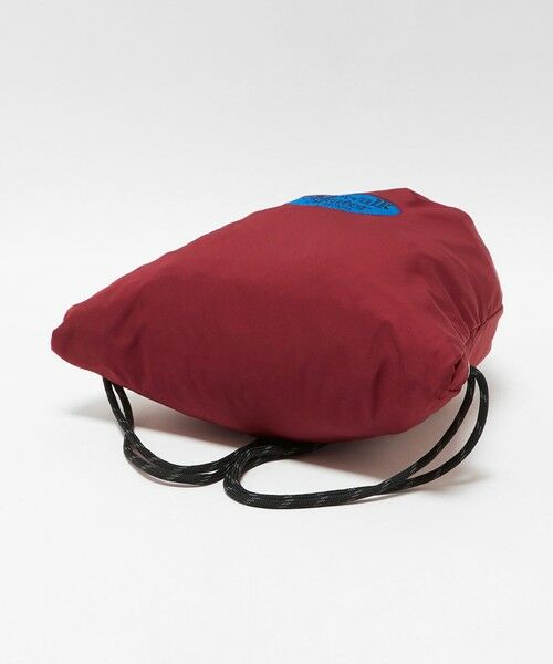 BEAUTY&YOUTH UNITED ARROWS / ビューティー&ユース ユナイテッドアローズ リュック・バックパック | 【別注】＜PARROTT CANVAS＞ナップサック | 詳細10