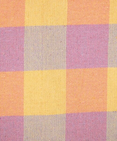 BEAUTY&YOUTH UNITED ARROWS / ビューティー&ユース ユナイテッドアローズ トートバッグ | 【別注】＜beej＞チェック 2WAY ワンショルダーバッグ | 詳細10