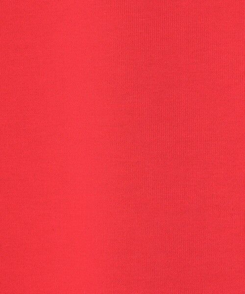 BEAUTY&YOUTH UNITED ARROWS / ビューティー&ユース ユナイテッドアローズ カットソー | 【WEB限定】ヘビーウエイト バレル クロップド Tシャツ | 詳細15