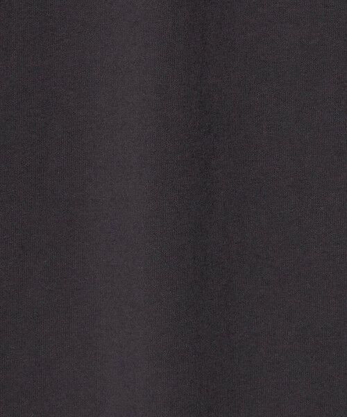 BEAUTY&YOUTH UNITED ARROWS / ビューティー&ユース ユナイテッドアローズ Tシャツ | ＜CHAMPION×BEAUTY&YOUTH＞フロッキー Tシャツ | 詳細6