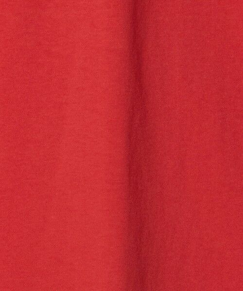 BEAUTY&YOUTH UNITED ARROWS / ビューティー&ユース ユナイテッドアローズ Tシャツ | ＜CHAMPION×BEAUTY&YOUTH＞フロッキー Tシャツ | 詳細18