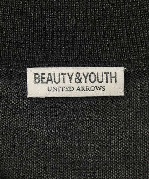 BEAUTY&YOUTH UNITED ARROWS / ビューティー&ユース ユナイテッドアローズ ニット・セーター | シャイン ギマ スキッパー ポロニット | 詳細10