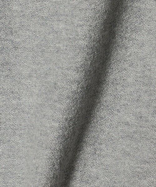 BEAUTY&YOUTH UNITED ARROWS / ビューティー&ユース ユナイテッドアローズ カットソー | コットンポリエステル ラメ ショートスリーブ カットソー | 詳細4