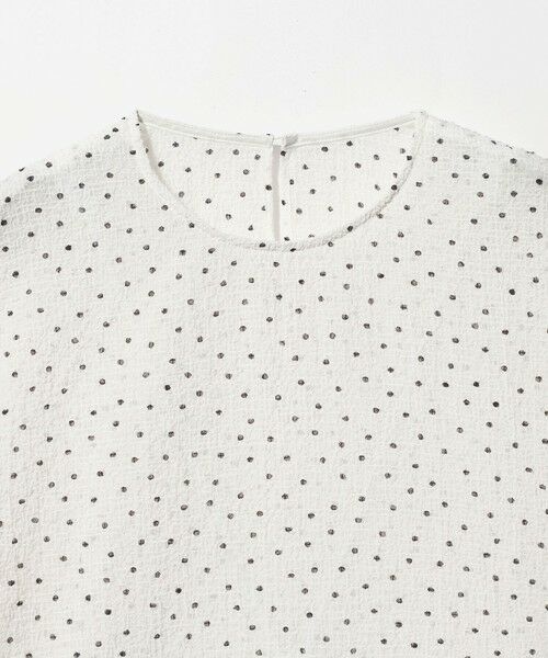 BEAUTY&YOUTH UNITED ARROWS / ビューティー&ユース ユナイテッドアローズ シャツ・ブラウス | ドットシアー ショートスリーブ ブラウス ウォッシャブル | 詳細1