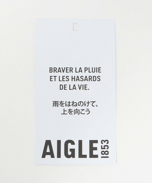 BEAUTY&YOUTH UNITED ARROWS / ビューティー&ユース ユナイテッドアローズ リュック・バックパック | ＜AIGLE＞ナイロン バックパック | 詳細27
