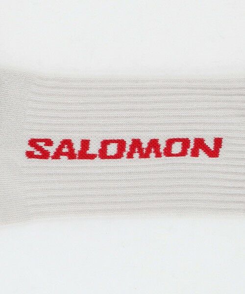 BEAUTY&YOUTH UNITED ARROWS / ビューティー&ユース ユナイテッドアローズ ソックス | ＜Salomon＞EVERYDAY CREW 3P ソックス | 詳細19