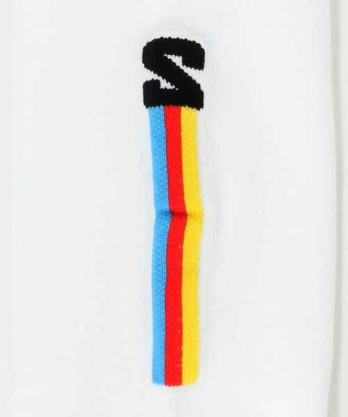 BEAUTY&YOUTH UNITED ARROWS / ビューティー&ユース ユナイテッドアローズ ソックス | ＜Salomon＞Pulse Race Flag Crew ソックス | 詳細1