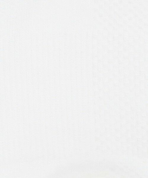 BEAUTY&YOUTH UNITED ARROWS / ビューティー&ユース ユナイテッドアローズ ソックス | ＜Salomon＞Pulse Race Flag Crew ソックス | 詳細3