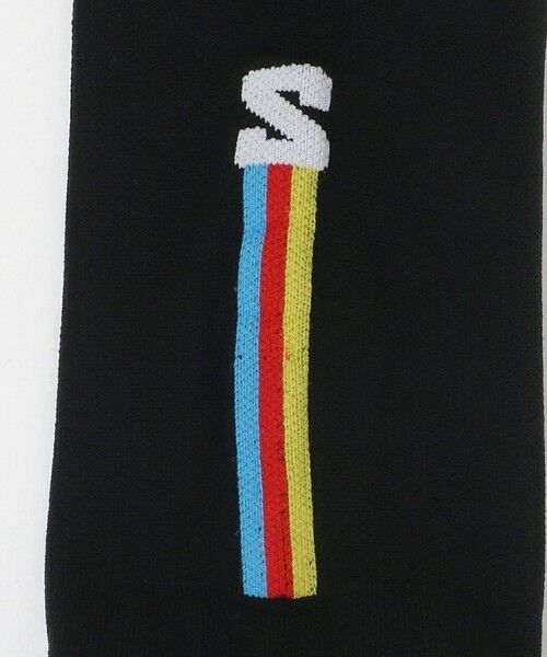 BEAUTY&YOUTH UNITED ARROWS / ビューティー&ユース ユナイテッドアローズ ソックス | ＜Salomon＞Pulse Race Flag Crew ソックス | 詳細5