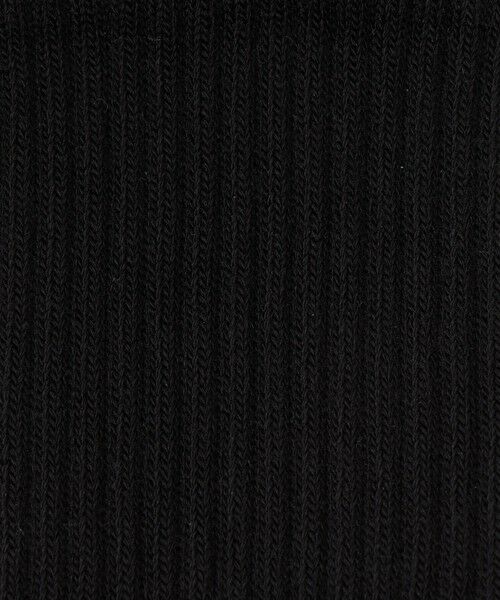 BEAUTY&YOUTH UNITED ARROWS / ビューティー&ユース ユナイテッドアローズ ソックス | ＜heyep＞リブ ロゴ ソックス/2P | 詳細2