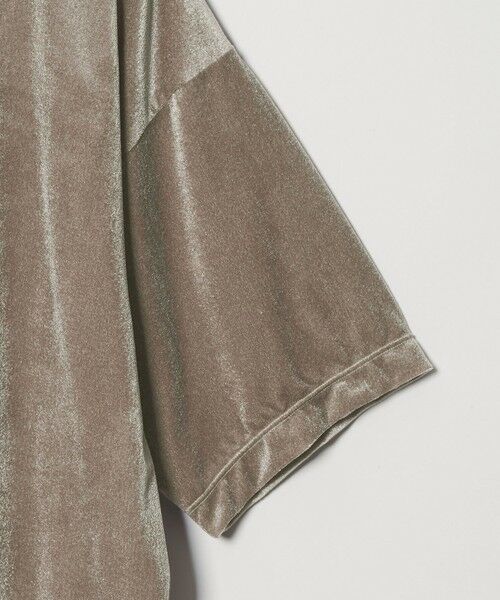 BEAUTY&YOUTH UNITED ARROWS / ビューティー&ユース ユナイテッドアローズ カットソー | 【WEB限定】シアー ベロア スウェット Tシャツ | 詳細25