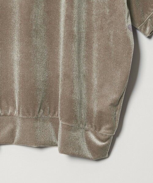 BEAUTY&YOUTH UNITED ARROWS / ビューティー&ユース ユナイテッドアローズ カットソー | 【WEB限定】シアー ベロア スウェット Tシャツ | 詳細26