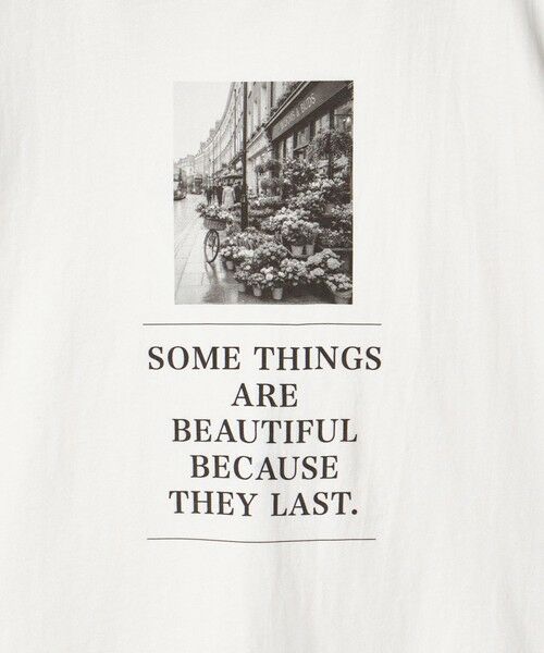 BEAUTY&YOUTH UNITED ARROWS / ビューティー&ユース ユナイテッドアローズ カットソー | 【WEB限定 Wardrobe DAILY MINIMAL】フォトプリントTシャツ | 詳細12