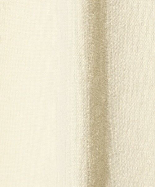BEAUTY&YOUTH UNITED ARROWS / ビューティー&ユース ユナイテッドアローズ カットソー | ギザ ガーメントダイ クロップド Tシャツ | 詳細18