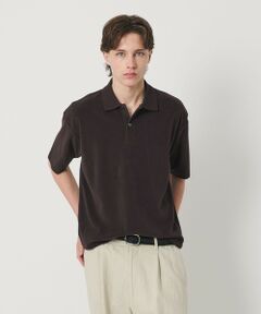 BEAUTY&YOUTH UNITED ARROWS / ビューティー&ユース ユナイテッドアローズ カットソー | ＜LACOSTE for BEAUTY&YOUTH＞ ワントーン パイル ショートスリーブ ポロシャツ