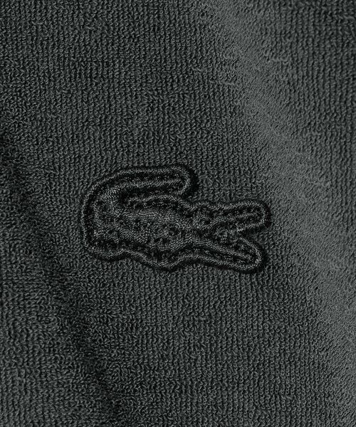 BEAUTY&YOUTH UNITED ARROWS / ビューティー&ユース ユナイテッドアローズ カットソー | ＜LACOSTE for BEAUTY&YOUTH＞ ワントーン パイル ショートスリーブ ポロシャツ | 詳細8