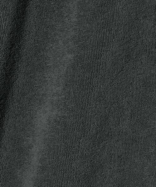 BEAUTY&YOUTH UNITED ARROWS / ビューティー&ユース ユナイテッドアローズ カットソー | ＜LACOSTE for BEAUTY&YOUTH＞ ワントーン パイル ショートスリーブ ポロシャツ | 詳細10