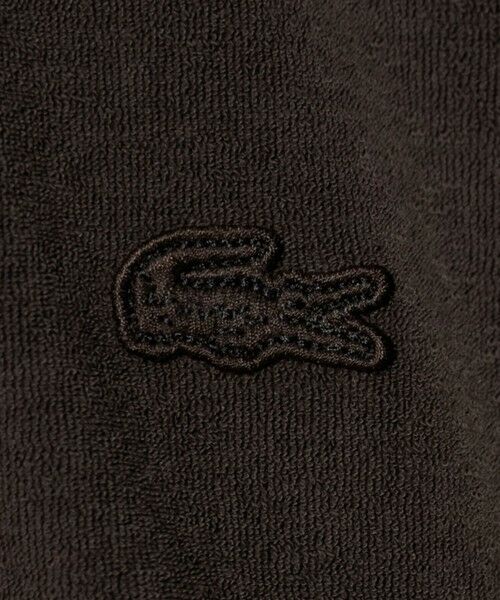 BEAUTY&YOUTH UNITED ARROWS / ビューティー&ユース ユナイテッドアローズ カットソー | ＜LACOSTE for BEAUTY&YOUTH＞ ワントーン パイル ショートスリーブ ポロシャツ | 詳細27