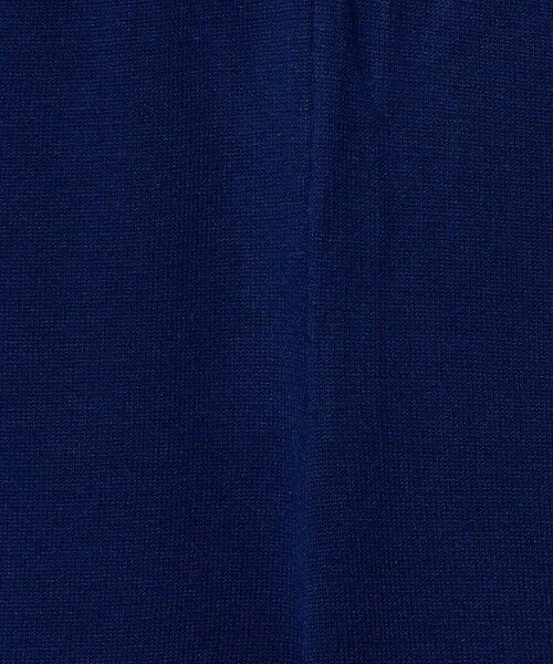 BEAUTY&YOUTH UNITED ARROWS / ビューティー&ユース ユナイテッドアローズ チノ・ワークパンツ | ＜adidas Originals＞ファィヤーバード ニット トラックパンツ | 詳細9