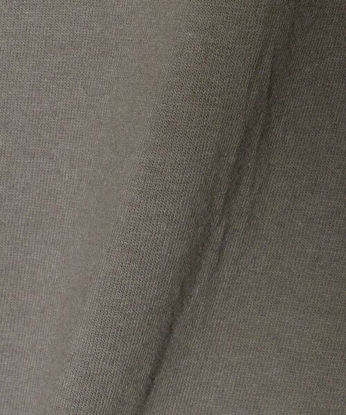 BEAUTY&YOUTH UNITED ARROWS / ビューティー&ユース ユナイテッドアローズ カットソー | 【WEB限定】＜dahl’ia＞フリル ショートスリーブ Tシャツ | 詳細16