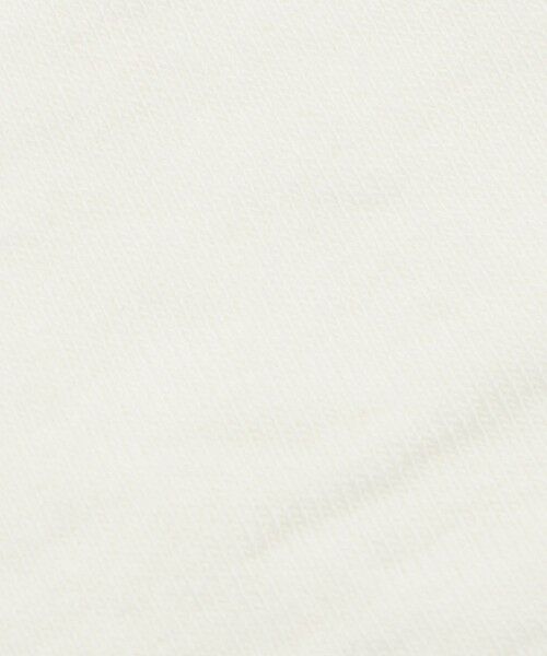 BEAUTY&YOUTH UNITED ARROWS / ビューティー&ユース ユナイテッドアローズ ソックス | ＜adidas Originals＞アニマル クルーソックス/2P | 詳細5