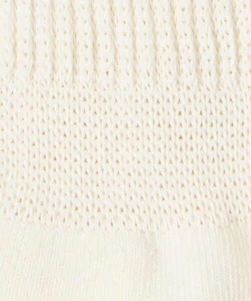 BEAUTY&YOUTH UNITED ARROWS / ビューティー&ユース ユナイテッドアローズ ソックス | ＜THE NORTH FACE＞チューブ クルーソックス/2P | 詳細2