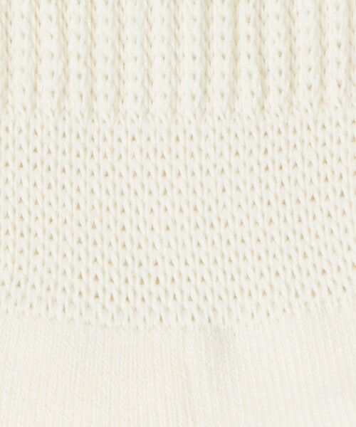 BEAUTY&YOUTH UNITED ARROWS / ビューティー&ユース ユナイテッドアローズ ソックス | ＜THE NORTH FACE＞チューブ クルーソックス/2P | 詳細13