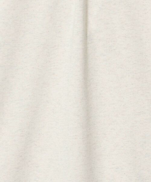 BEAUTY&YOUTH UNITED ARROWS / ビューティー&ユース ユナイテッドアローズ カットソー | <DANTON>ロングスリーブ スウェット Tシャツ | 詳細11