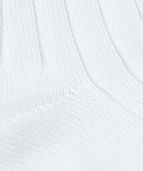 BEAUTY&YOUTH UNITED ARROWS / ビューティー&ユース ユナイテッドアローズ ソックス | シルケット リブ レギュラー ソックス | 詳細1