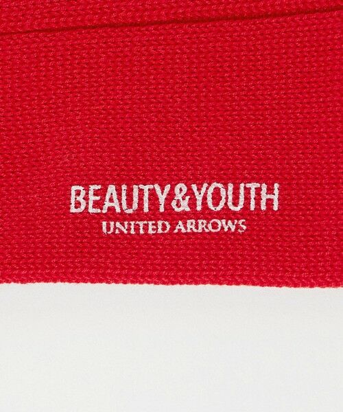 BEAUTY&YOUTH UNITED ARROWS / ビューティー&ユース ユナイテッドアローズ ソックス | シルケット リブ レギュラー ソックス | 詳細8