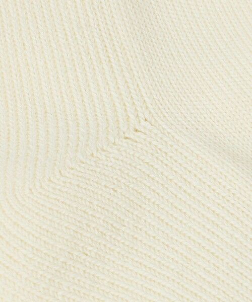 BEAUTY&YOUTH UNITED ARROWS / ビューティー&ユース ユナイテッドアローズ ソックス | 2ライン パイル クルー ソックス | 詳細7