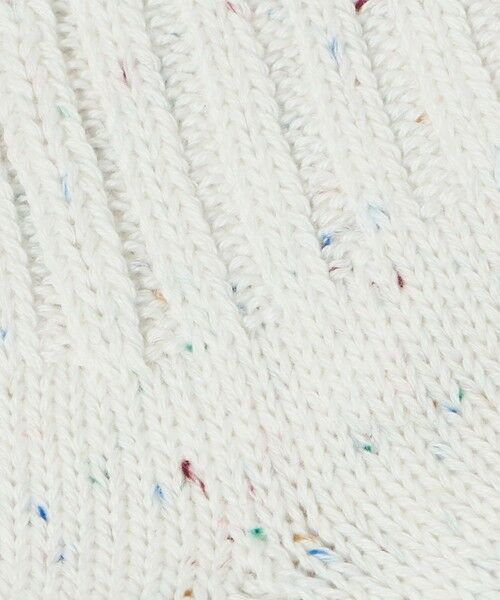 BEAUTY&YOUTH UNITED ARROWS / ビューティー&ユース ユナイテッドアローズ ソックス | ネップ ヘビー ソックス | 詳細1