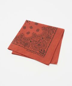 BEAUTY&YOUTH UNITED ARROWS / ビューティー&ユース ユナイテッドアローズ バンダナ・スカーフ | ＜Hav-A-Hank＞ペイズリー バンダナ