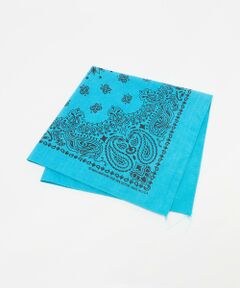 BEAUTY&YOUTH UNITED ARROWS / ビューティー&ユース ユナイテッドアローズ バンダナ・スカーフ | ＜Hav-A-Hank＞ペイズリー バンダナ