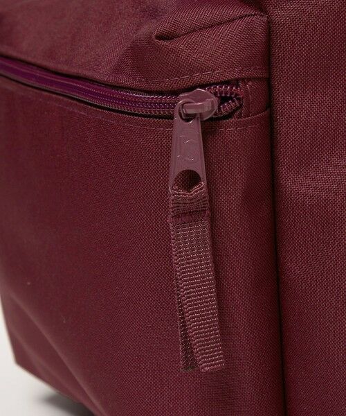 BEAUTY&YOUTH UNITED ARROWS / ビューティー&ユース ユナイテッドアローズ リュック・バックパック | 【別注】＜JANSPORT＞カラー ドロスト リュック | 詳細11