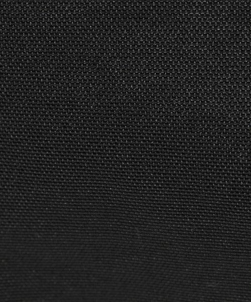 BEAUTY&YOUTH UNITED ARROWS / ビューティー&ユース ユナイテッドアローズ リュック・バックパック | 【別注】＜JANSPORT＞ドロスト リュック | 詳細16
