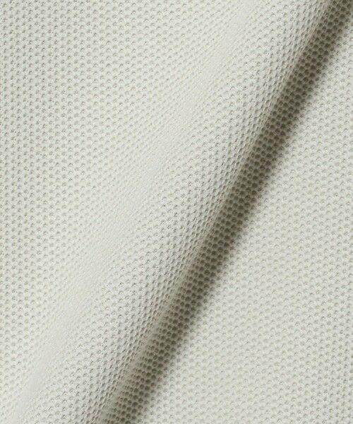 BEAUTY&YOUTH UNITED ARROWS / ビューティー&ユース ユナイテッドアローズ カットソー | ＜LACOSTE for BEAUTY&YOUTH＞ ワントーン ロングスリーブ カットソー | 詳細2