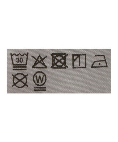 BEAUTY&YOUTH UNITED ARROWS / ビューティー&ユース ユナイテッドアローズ カットソー | ＜LACOSTE for BEAUTY&YOUTH＞ ワントーン ロングスリーブ カットソー | 詳細12