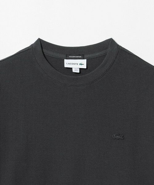 BEAUTY&YOUTH UNITED ARROWS / ビューティー&ユース ユナイテッドアローズ カットソー | ＜LACOSTE for BEAUTY&YOUTH＞ ワントーン ロングスリーブ カットソー | 詳細13
