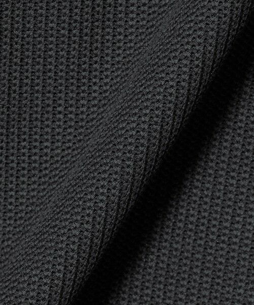 BEAUTY&YOUTH UNITED ARROWS / ビューティー&ユース ユナイテッドアローズ カットソー | ＜LACOSTE for BEAUTY&YOUTH＞ ワントーン ロングスリーブ カットソー | 詳細14