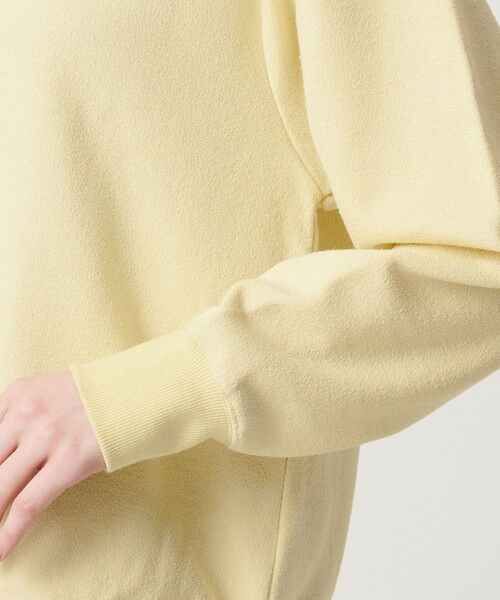 BEAUTY&YOUTH UNITED ARROWS / ビューティー&ユース ユナイテッドアローズ カットソー | 【WEB限定 Wardrobe DAILY MINIMAL】ダンボールジャージー ハーフジッププルオーバー | 詳細25