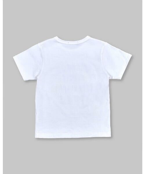 BeBe / べべ Tシャツ | USA コットン 昆虫 テントウムシ ハチ クワガタ トンボ Tシャツ (90~150cm) | 詳細8